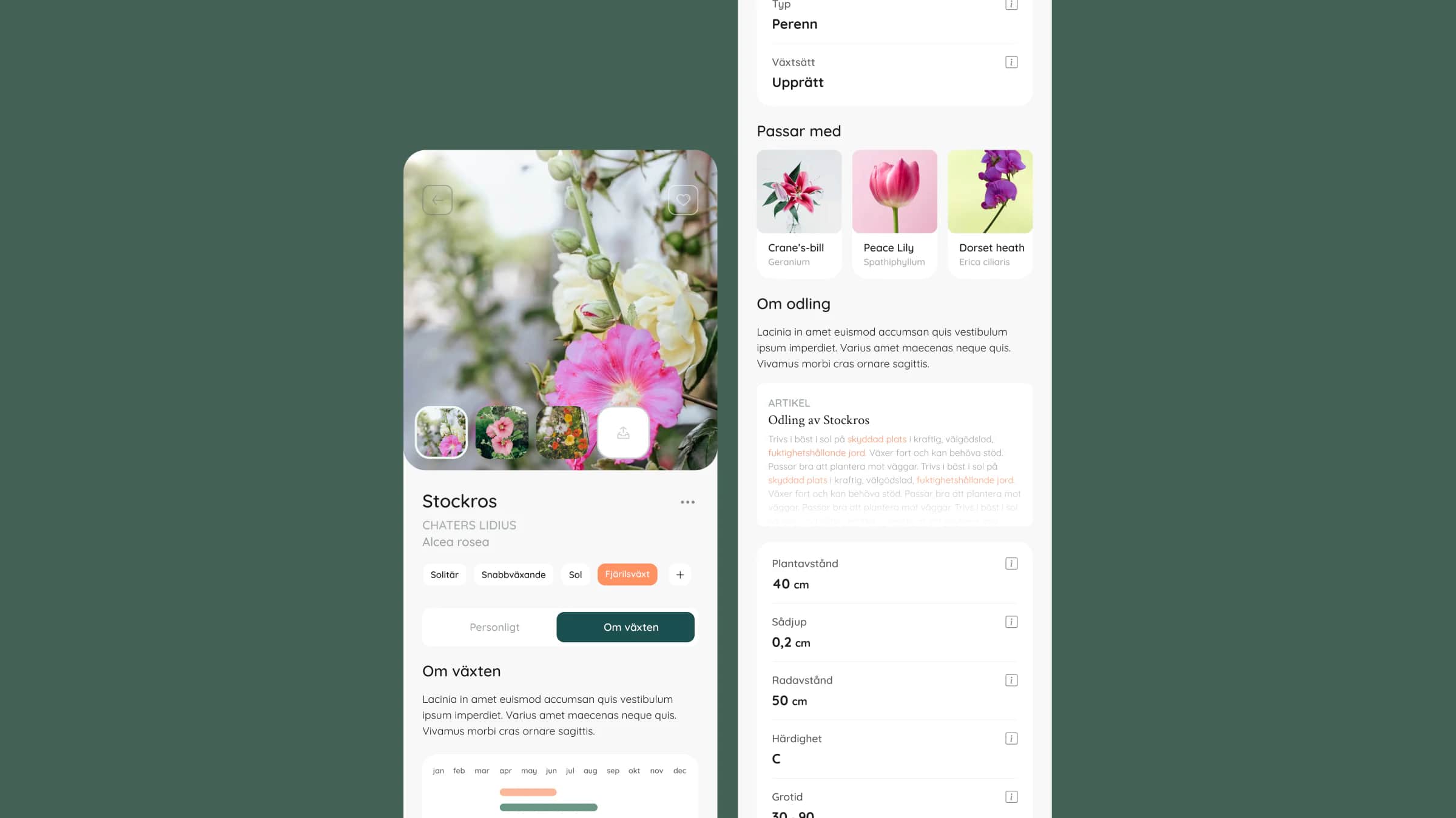 Ohgarden 8